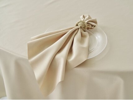 Napkin latte SATEN seamless stain resistant 45 x 45 cm Napkin latte SATEN seamless stain resistant 45 x 45 cm